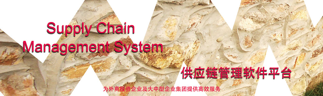 企业资源计划管理解决方案